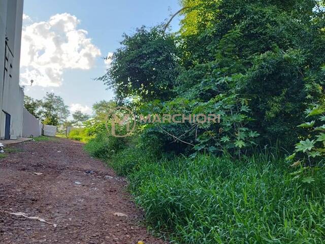 Área para Incorporação para Venda em Cascavel - 5