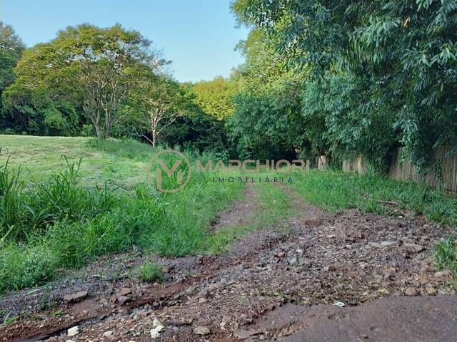 Área para Incorporação para Venda em Cascavel - 4