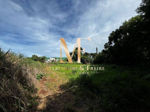 #707 - Terreno para Venda em Cascavel - PR - 3