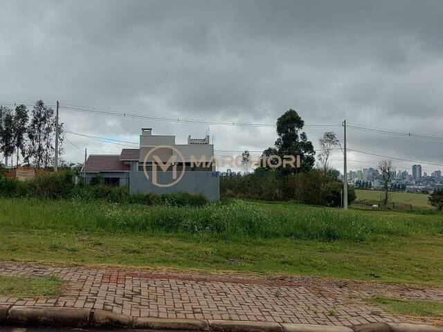#989 - Terreno para Venda em Cascavel - PR - 1