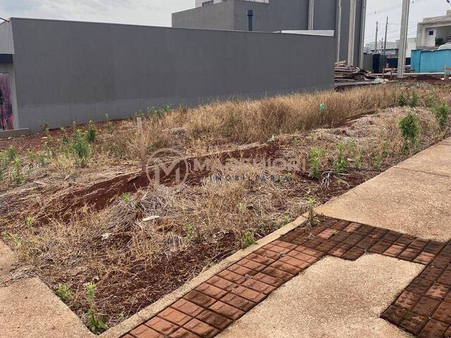 #1036 - Terreno para Venda em Cascavel - PR - 1