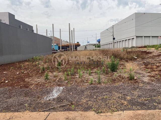 #1036 - Terreno para Venda em Cascavel - PR - 2
