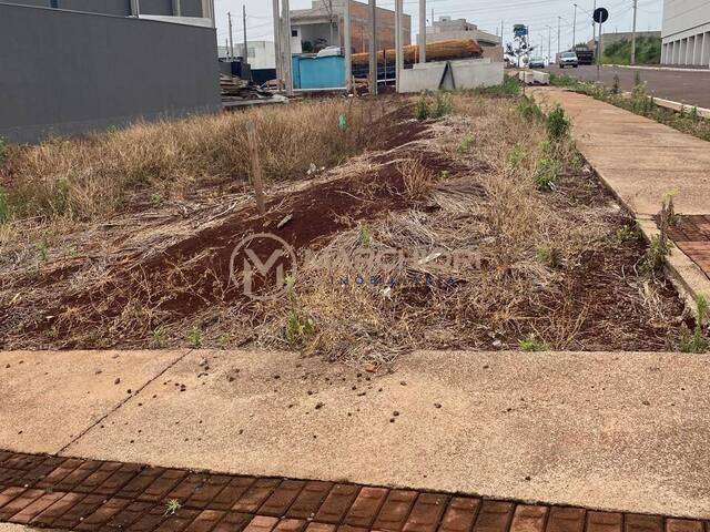 Terreno para Venda em Cascavel - 4