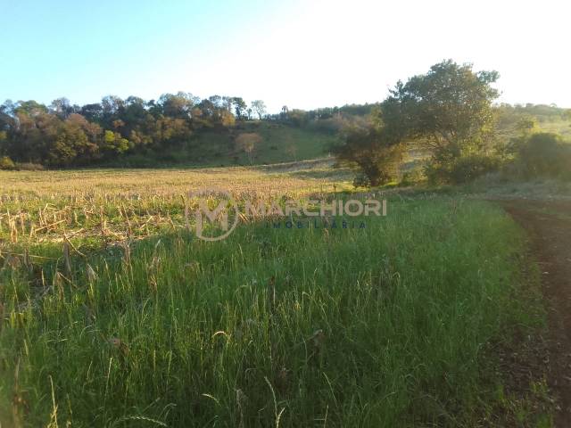 #1100 - Chácara para Venda em Cascavel - PR - 2