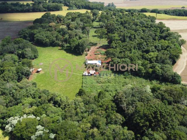 Sítio para Venda em Cascavel - 4