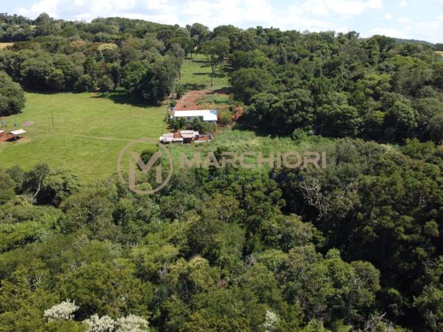 Sítio para Venda em Cascavel - 5