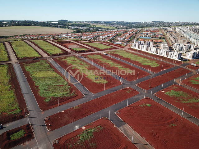 #701 - Terreno para Venda em Cascavel - PR - 3