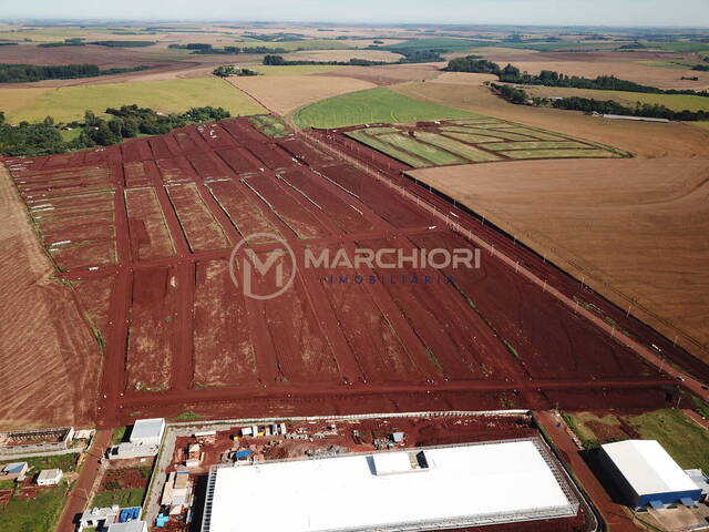 #819 - Terreno para Venda em Cascavel - PR - 2