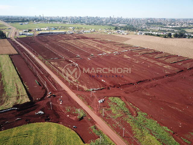 #819 - Terreno para Venda em Cascavel - PR - 3