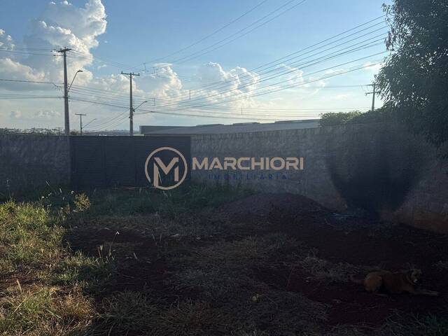 Terreno para Venda em Cascavel - 5