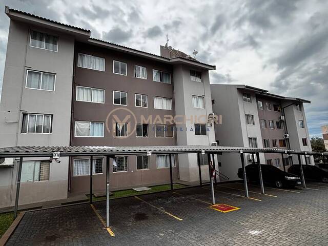 #1233 - Apartamento para Venda em Cascavel - PR - 1