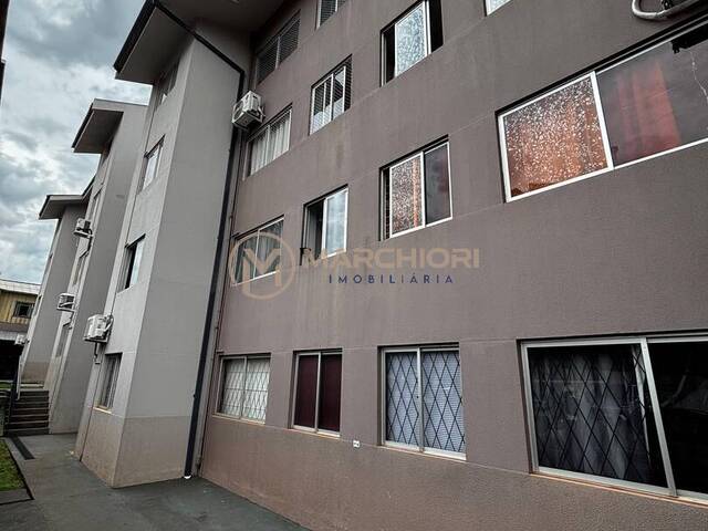 #1233 - Apartamento para Venda em Cascavel - PR - 3