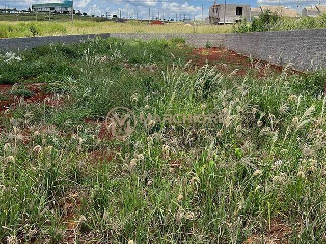 Terreno para Venda em Realeza - 4