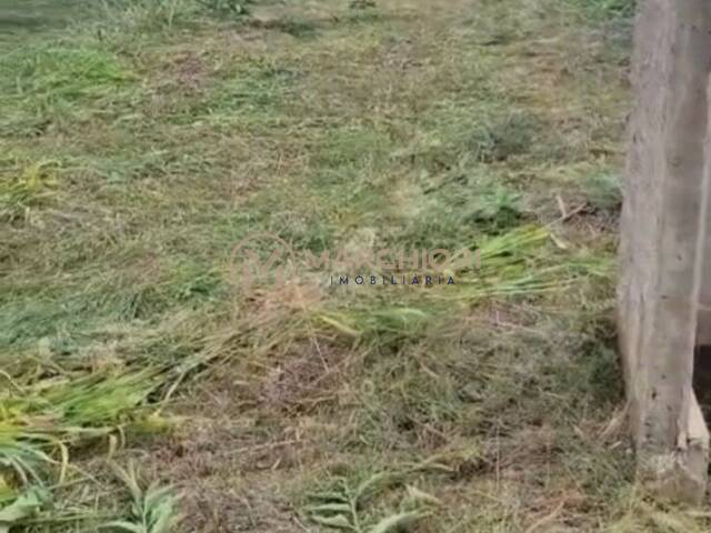 #1245 - Terreno para Venda em Realeza - PR - 2