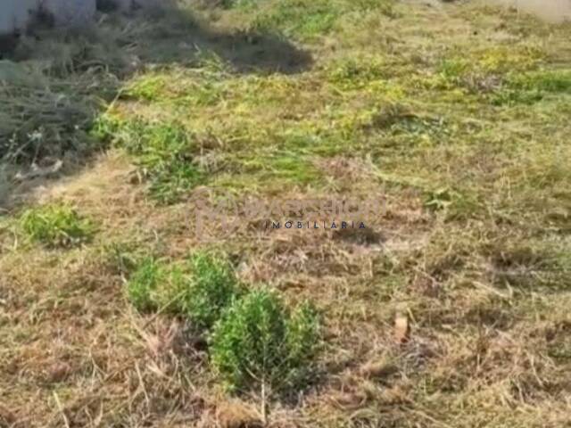 Terreno para Venda em Realeza - 5