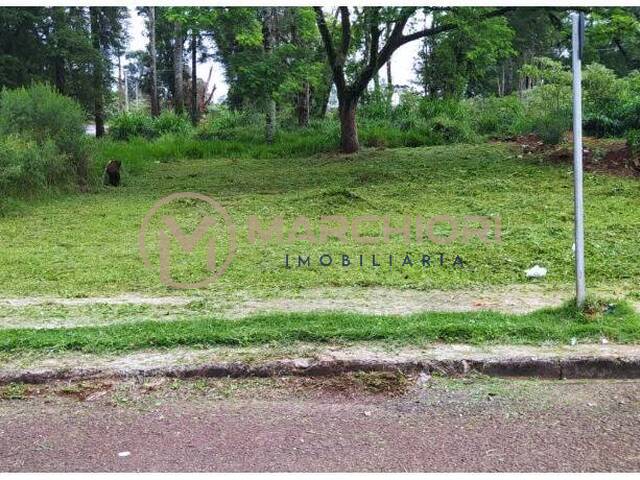 Venda em Morumbi - Cascavel