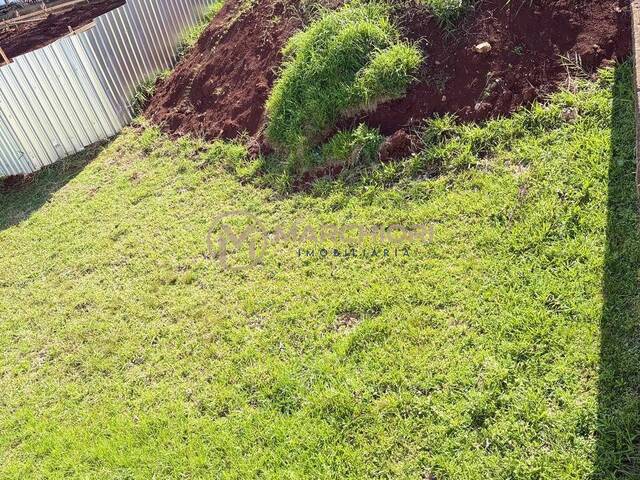 Terreno para Venda em Cascavel - 2