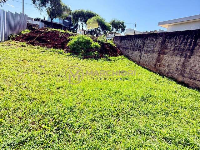 Terreno para Venda em Cascavel - 3