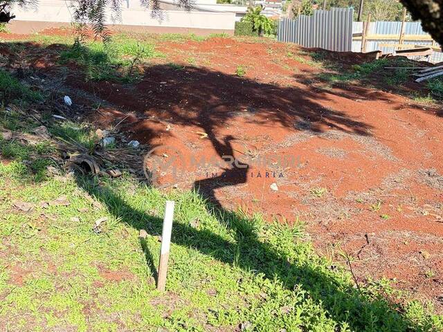 Terreno para Venda em Cascavel - 5
